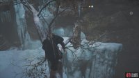 You’ll need to climb up the tree branch to reach some ledges that take you up along the walls