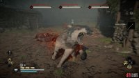 The big brown wolf is tanky but won’t bite too hard.