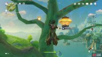 then retrieve the Xiao Lantern from the tree.