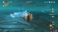 fight the Ducks at range due to their  continuous AoE damage surrounding them.