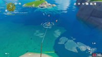 Throw the hook just in front of the fish.