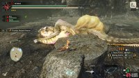 When Narwa is downed, ramps will appear either side of its thundersac, allowing melee to get some attacks on to it.