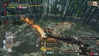 Time to use Rathian to smash up Aknosom for a bit!
