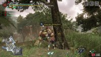 2. On a tree at the small, isolated highland region in Area 11.