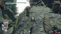 Use your wirebug to climb up the cliff near the wyvern nest.