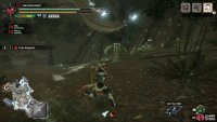 Tobi will start flying by spreading its arms like a flying squirrel.