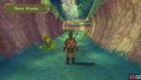 The Deep Woods is a short area leading up to the Skyview Temple.