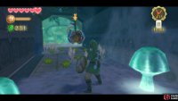 While fighting these Deku Baba, remember to shake off the sticky bombs on the floor.
