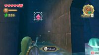 By the way, you can also shoot this switch before raising the water.
