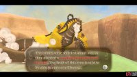 Speak to the Thunder Dragon again to learn of a possible cure.