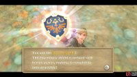Zelda fans may remember this shield!