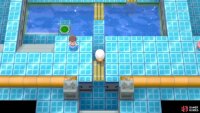 Solve the puzzles in the gym to advance