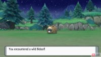 Bidoof on Route 202.