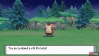 Kricketot on Route 202.