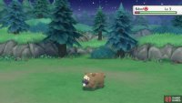 and then a Bidoof!