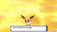 Breeding a perfect Pokémon will take a long time, especially if you start from zero.