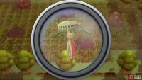 Use the binoculars before entering the safari game to search for interesting Pokémon.