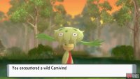 There’s a 10% chance to find the random Pokémon.
