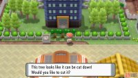 You need HM Cut to reach the building.