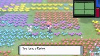 If you’re diligent, you can find lots of hidden items among the flowers.