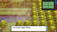 Hidden Hyper Potion in Area 6.