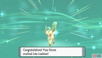 You can also evolve Leafeon using a Leaf Stone.