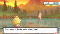 You can then catch the Luvdisc or steal from it using Thief/Covet.