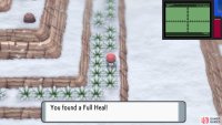 Use the Dowsing Machine to pinpoint this Full Heal.