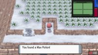 Hidden Max Potion.