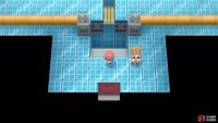 Grass and Electric-types will be vital here.