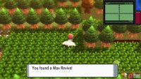 Hidden Max Revive.