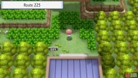 Route 225.
