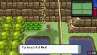 Hidden Full Heal.
