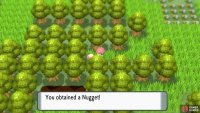Nugget.