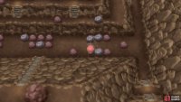 If you slip up, exit and re-enter this cave to reset the boulders.