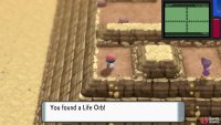 Life Orb.
