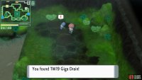 TM19 Giga Drain.
