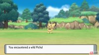You can encounter rare Pokémon here, especially after getting the National Pokédex.