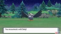 On Route 201 you’ll find Starlys