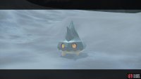 battle or catch them stealthily!