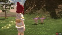First chase down the Aipom