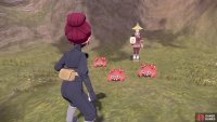 she has been surrounded by Paras!