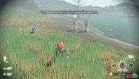 A Quilava outbreak.