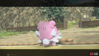 Argh, a Blissey!?
