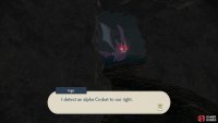 Even with full visibility, this alpha Crobat is quite tough!