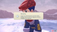 That’s a lot of effort for a chunk of ice; it’d better be incredibly tasty ice.