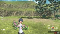 Then Rowlet is up the hill slightly, next to some trees.