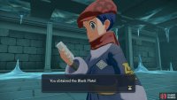 The Blank Plate turns Arceus into the Normal-type.