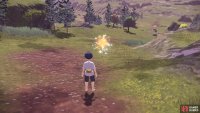 Either way, the Bidoof won’t put up much resistance.
