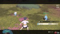 You’ll want to lower Shinx’s HP a little before throwing a Poké Ball.